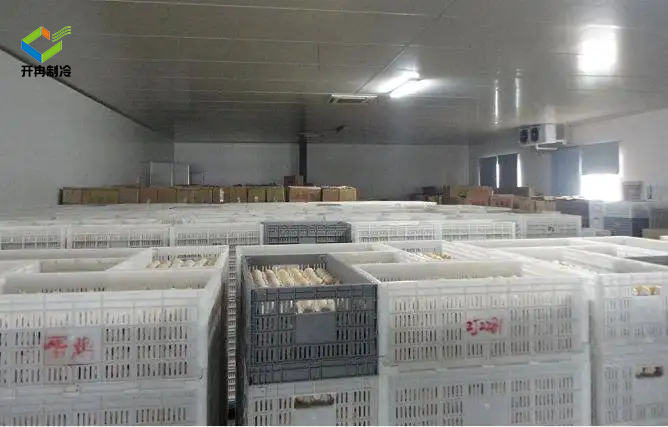 農(nóng)產(chǎn)品供應(yīng)中心雞蛋保鮮冷庫安裝方法及雞蛋冷庫儲(chǔ)存方法 農(nóng)產(chǎn)品供應(yīng)中心雞蛋保鮮冷庫安裝方法及雞蛋冷庫儲(chǔ)存方法