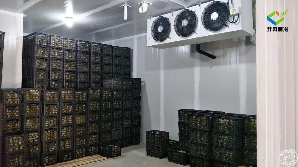 建造一個100噸的水果保鮮冷庫多少錢？