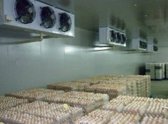建一個冷庫，用來存50噸雞蛋要多少錢