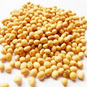 鮮黃豆冷庫設(shè)計(jì)安裝造價(jià)，冷庫保鮮溫度是多少