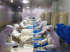 安裝一個(gè)3000立方低溫冷凍庫(kù)需要投資多少錢？