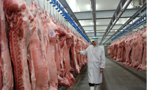 2000立方凍肉冷庫 2000立方凍肉冷庫