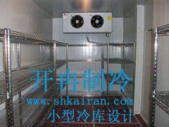 小型冷庫設(shè)計的一般注意事項(xiàng)