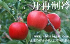 水果冷庫報價、一個水果冷庫多少錢