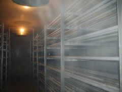 設(shè)計(jì)一個(gè)-30℃食品速凍冷庫(kù)需要多少錢