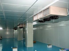 設(shè)計一個700噸冷凍庫造價多少錢？冷藏庫設(shè)備報價