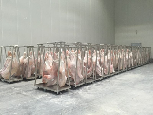 拼裝式冷庫建造工程造價，-18℃豬肉冷凍庫設備