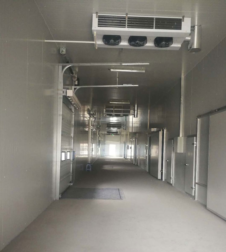 -25℃低溫海鮮魚(yú)肉加工廠冷凍庫(kù)安裝設(shè)計(jì)標(biāo)準(zhǔn)費(fèi)用多少?